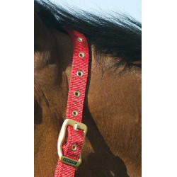 Cabezada Equi-Theme "Nylon" Roja Rojo