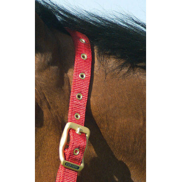 Cabezada Equi-Theme "Nylon" Roja Rojo