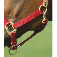Cabezada Equi-Theme "Nylon" Roja Rojo