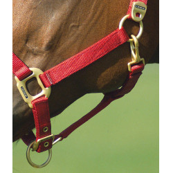 Cabezada Equi-Theme "Nylon" Roja Rojo