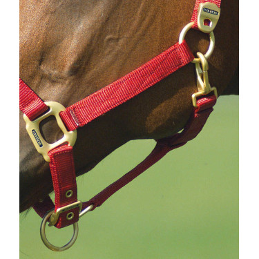 Cabezada Equi-Theme "Nylon" Roja Rojo