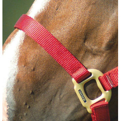 Cabezada Equi-Theme "Nylon" Roja Rojo