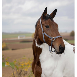 Cabezada Equi-Theme "Nylon" Gris oscuro