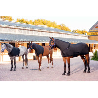 Protección de espaldas Equi-Theme Protección de espaldas Equi-Theme