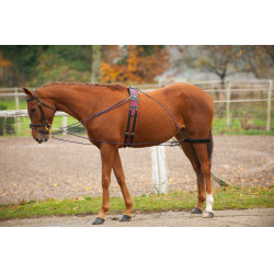 Chambón con poleas Norton