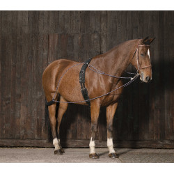 Chambón con poleas Norton