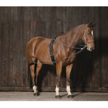 Chambón con poleas Norton