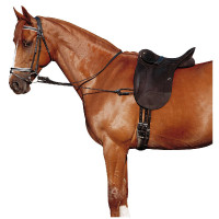 Chambón elástico ajustable