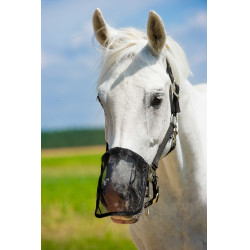 Protector de ollares de malla antimoscas