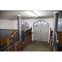 Cámara IPCam 360 FHD 1080p...