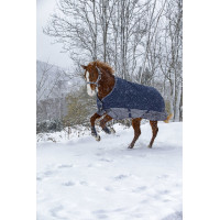 Manta Equi-Theme Tyrex 600 D 300g