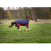 Manta Equi-Theme Tyrex 1200 D Azúl marino / burdeos