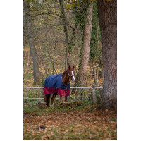 Manta Equi-Theme Tyrex 1200 D