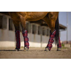 Protectores de transporte Equi-Theme Tyrex 1200 D Burdeos