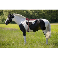 Mantilla de monta a pelo...