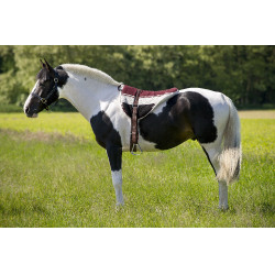 Mantilla de monta a pelo Norton