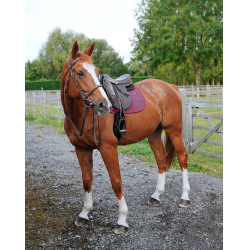 Alfombra GEM Ten Uva