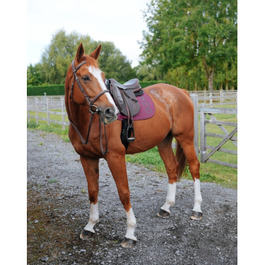 Alfombra GEM Ten Uva