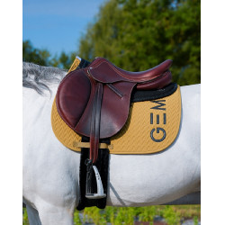 Alfombra GEM Ten Especia