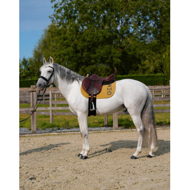 Alfombra GEM Ten Especia