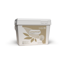 Harpagophytum puro granos finos