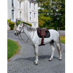 Mantilla GEM Lucky Negro