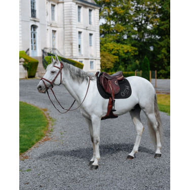 Mantilla GEM Lucky Negro
