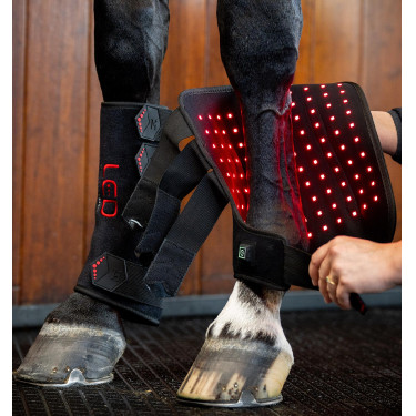 Gueteras de terapia Horseware con luz roja LED Negro / negro Gueteras de terapia Horseware con luz roja LED Negro / negro