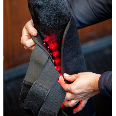 Gueteras de terapia Horseware con luz roja LED Negro / negro Gueteras de terapia Horseware con luz roja LED Negro / negro