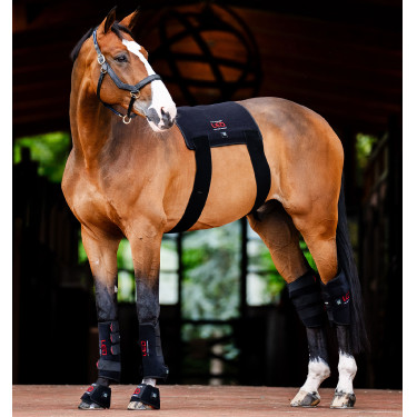 Gueteras de terapia Horseware con luz roja LED Negro / negro Gueteras de terapia Horseware con luz roja LED Negro / negro