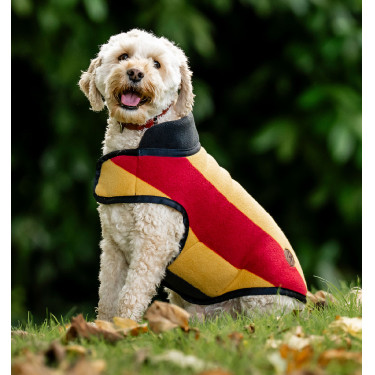 Manta polar Horseware Newmarket para perro Oro blanco Manta polar Horseware Newmarket para perro Oro blanco