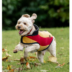 Manta polar Horseware Newmarket para perro Oro blanco Manta polar Horseware Newmarket para perro Oro blanco