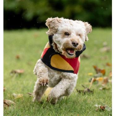 Manta polar Horseware Newmarket para perro Oro blanco Manta polar Horseware Newmarket para perro Oro blanco