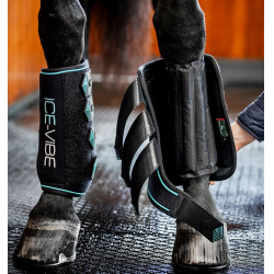Guarniciones Horseware Ice-Vibe Negro / aqua Guarniciones Horseware Ice-Vibe Negro / aqua