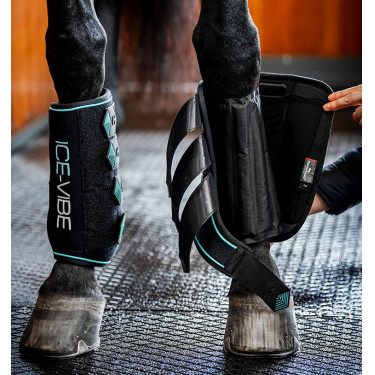 Guarniciones Horseware Ice-Vibe Negro / aqua Guarniciones Horseware Ice-Vibe Negro / aqua