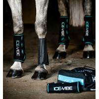Guarniciones Horseware Ice-Vibe Negro / aqua