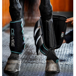 Guarniciones Horseware Ice-Vibe Negro / aqua Guarniciones Horseware Ice-Vibe Negro / aqua