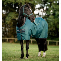 Manta Horseware Amigo Ripstop 900D Poney Turnout 100g Verde dinastía / marino / plata