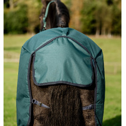 Manta Horseware Amigo Ripstop 900D Poney Turnout 100g Verde dinastía / marino / plata