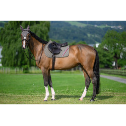 Alfombra de salto CSO Tommy Hilfiger Equestrian Stanford Ceniza Azul marino