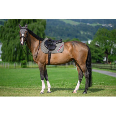 Alfombra de salto CSO Tommy Hilfiger Equestrian Stanford Ceniza Azul marino