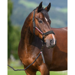 Cabezada y ramal Tommy Hilfiger Equestrian Yale Negro
