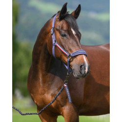 Cabezada y ramal Tommy Hilfiger Equestrian Yale Índigo desteñido Azul Cabezada y ramal Tommy Hilfiger Equestrian Yale Índigo desteñido Azul