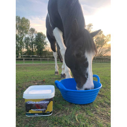 Alimento complementario NAF Liver Support