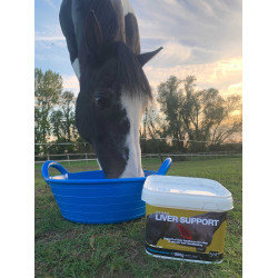 Alimento complementario NAF Liver Support