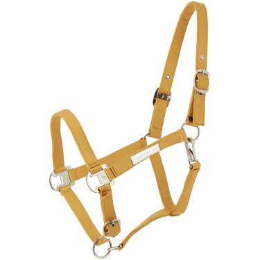 Cabezada EQUITHÈME - Opal Amarillo Cabezada EQUITHÈME - Opal Amarillo