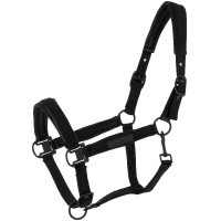 Cabezada de equitación Equithème Pearl acolchada