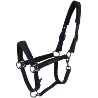 Cabezada Equithème Pearl