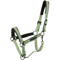 Cabezada de equitación Equithème Pearl acolchada