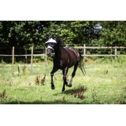 Careta antimoscas Lami-Cell Easyfit para caballo